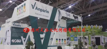 福州布展公司 專業(yè)展會布置與搭建服務(wù)